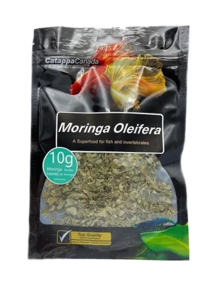 Catappa Moringa Oleifera