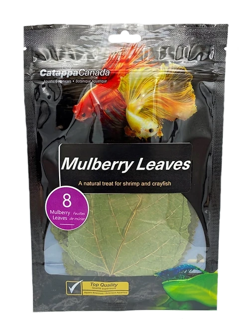DSC - Catappa Canada - Mulberry Leaves 8pk