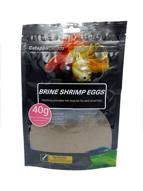 Catappa Brine Shrimp Eggs 10g