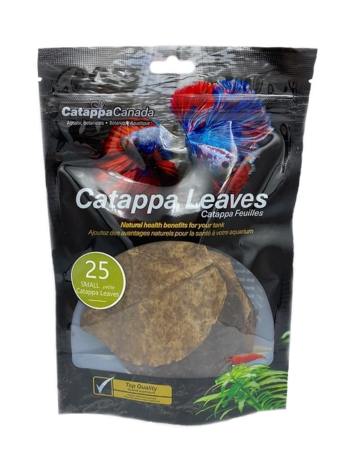 Catappa Leaves Sm 25pk
