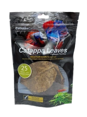 Catappa Leaves Sm 25pk