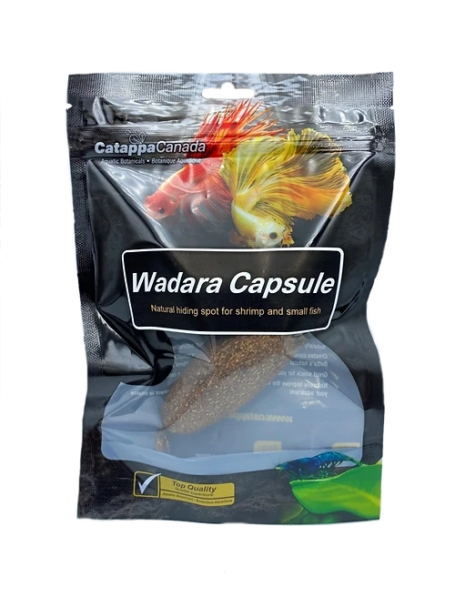 Catappa Wadara capsule