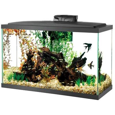 Aqueon - 29 Gallon Bright LED Starter Kit Aquarium