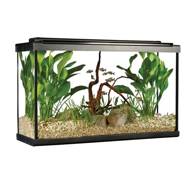 Fluval 29 High LED Aquarium Kit