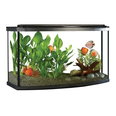 Fluval - 45 Bow LED Aquarium Kit