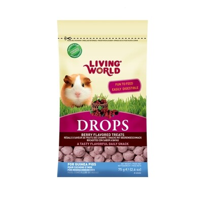 Living World Guinea Pig Treat - Fieldberry - 75 g (2.6 oz)