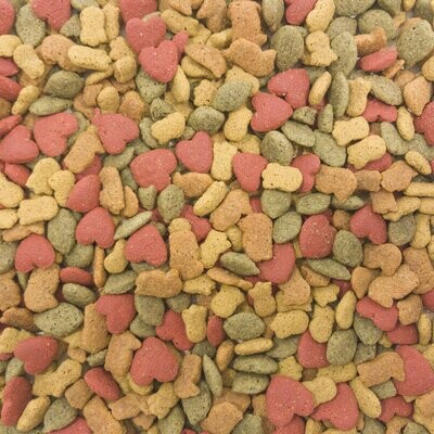 intune Parrot 3lb