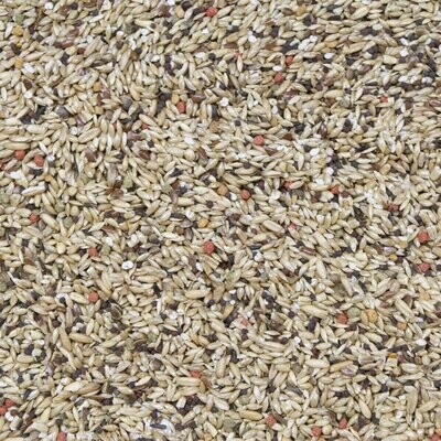 Vita Seed Canary 5lb