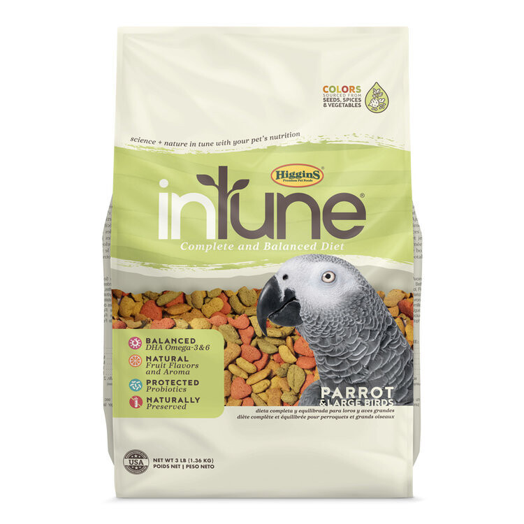 intune Parrot 3lb