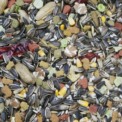 Vita Seed Parrot Natural Blend