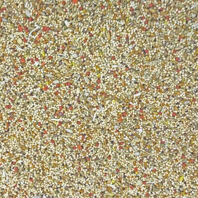 HIggins Sunburst Parakeet Food 2lb