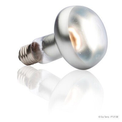 Exo Terra - Intense Basking Spot Lamp 100 Watt