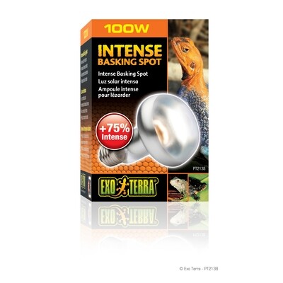 Exo Terra - Intense Basking Spot Lamp 100 Watt