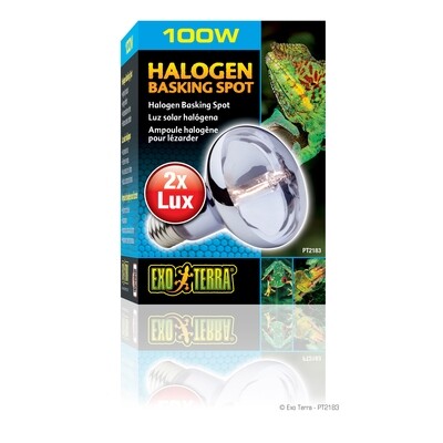 Exo Terra -  Halogen Basking Spot - 100 W