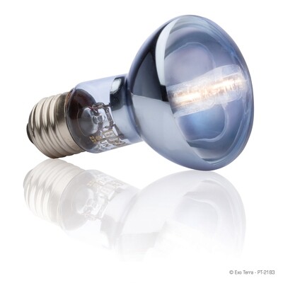DSC Exo Terra -  Halogen Basking Spot - 100 W