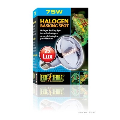 Exo Terra - Halogen Basking spot 75w