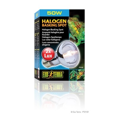 Exo Terra - Halogen Basking Spot - 50 W