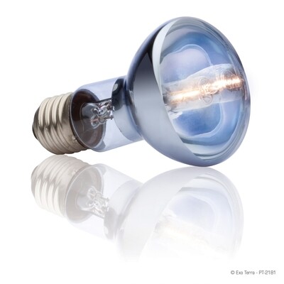 DSC Exo Terra - Halogen Basking Spot - 50 W