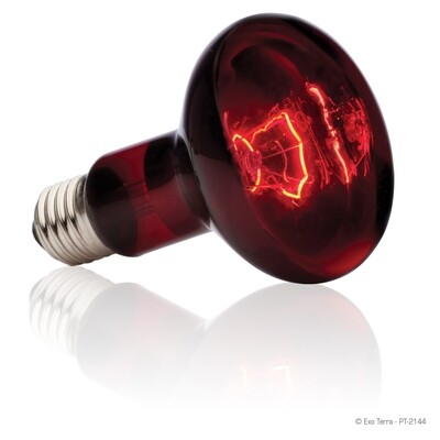 Exo Terra - Infrared Basking Spot Lamp 100 Watt