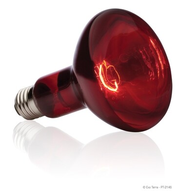 Exo Terra - Infrared Basking Spot Lamp 150 Watt