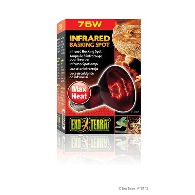 Exo Terra - Infrared Basking Spot Lamp 75 Watt