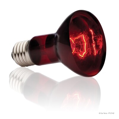 Exo Terra - Infrared Basking Spot Lamp 75 Watt