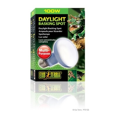 Exo Terra - Daylight Basking Spot Lamp 100 Watt