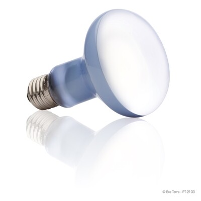 Exo Terra - Daylight Basking Spot Lamp 100 Watt