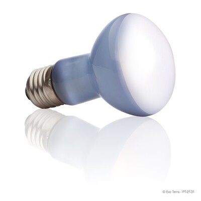 Exo Terra - Daylight Basking Spot Lamp 50 Watt