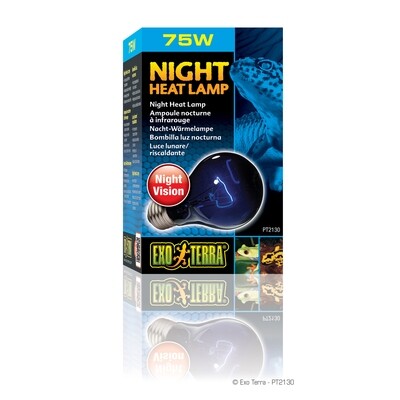 Exo Terra  - Night Heat Lamp - 75 W