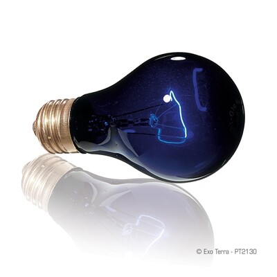 Exo Terra - Night Heat Lamp - 75 W