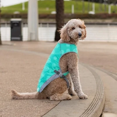 Canada Pooch Chill Seeker Cooling Vest WetRveal Smiley