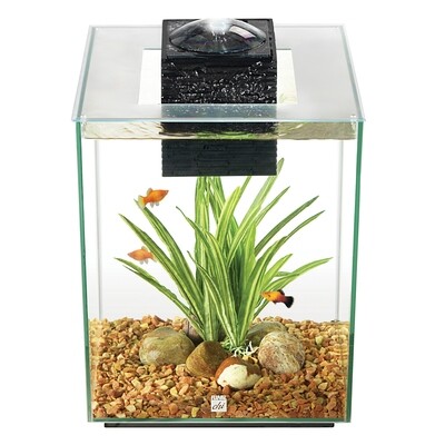 Fluval - Chi - 19 L (5 US Gal)