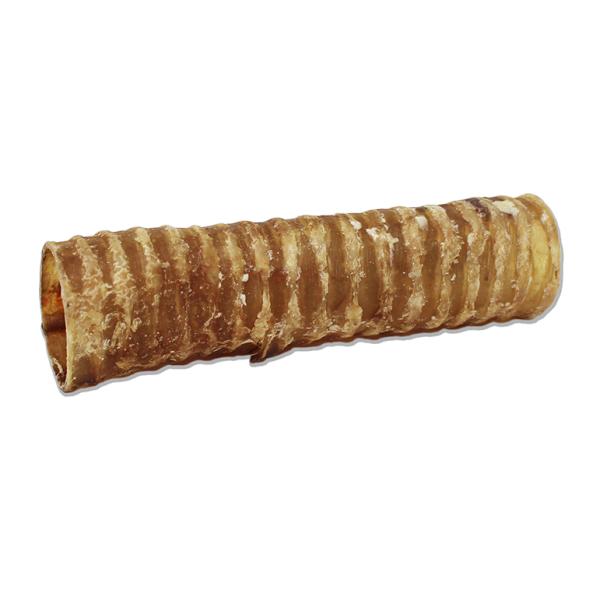 OR Beef Trachea 6&quot;