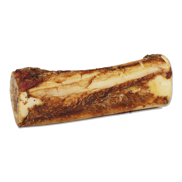 OR Cured Marrow Bone 6&quot;