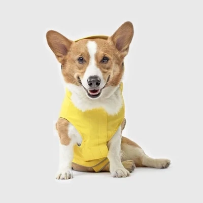 Apparel &amp; Accessories