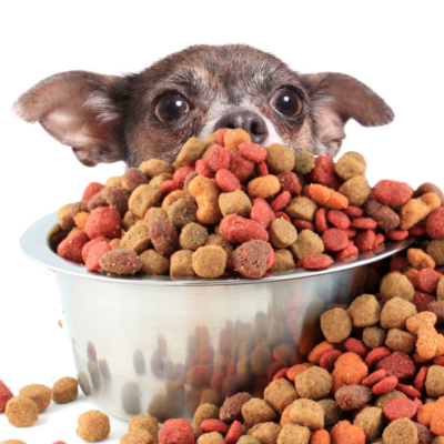 Dog Food