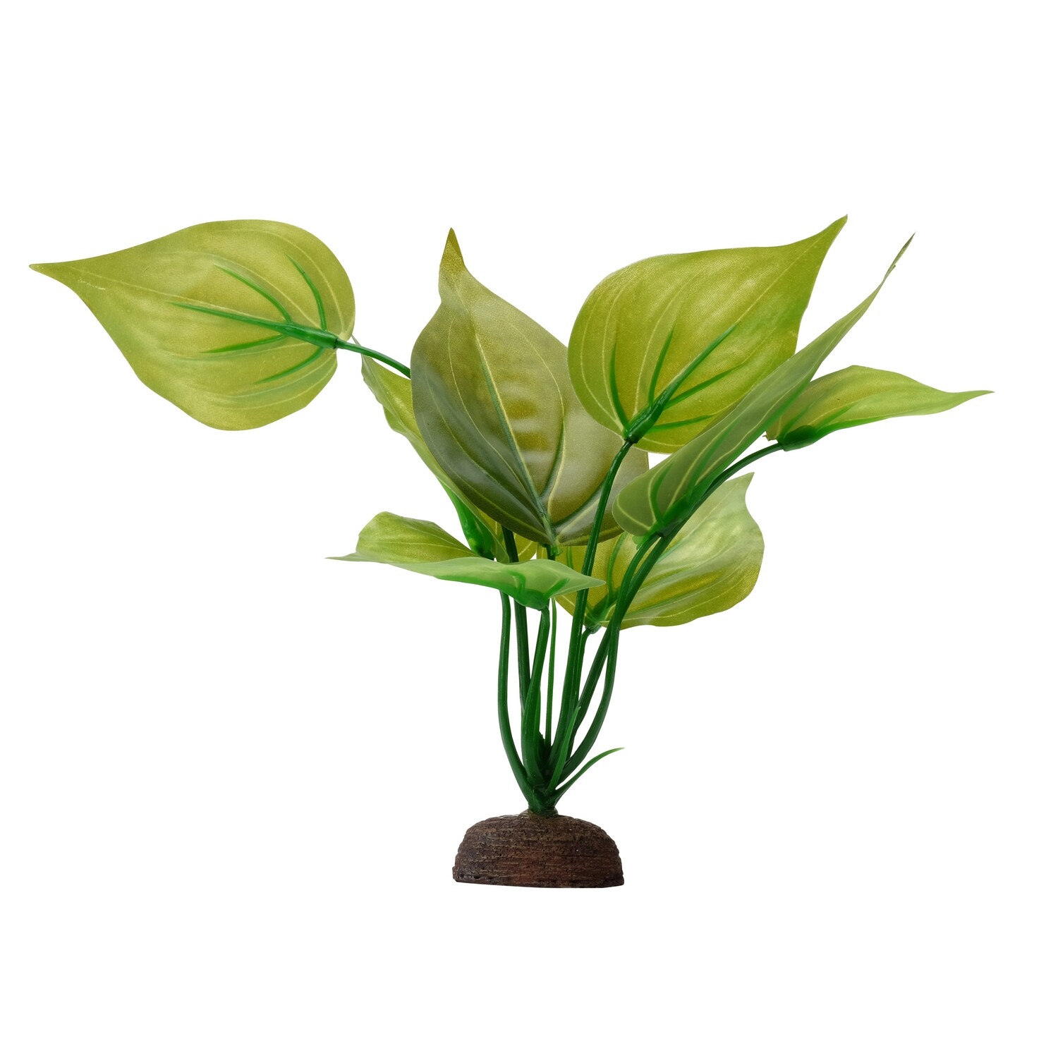 Fluval Aqualife Plant Scapes Variegated Lizard&#39;s Tail - 8 in