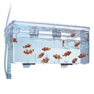 Fluval Multi-Chamber Holding &amp; Breeding Box