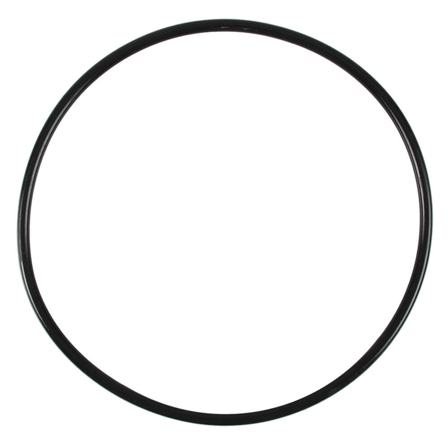 Fluval - 307/407 Motor Seal Ring