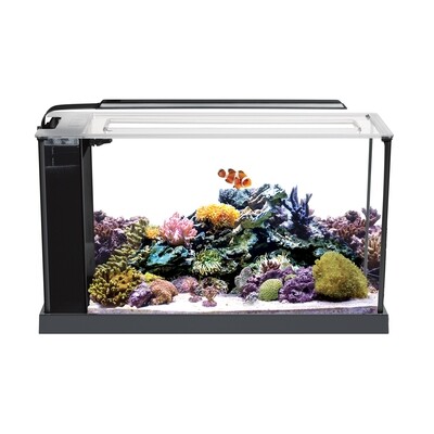Fluval Sea - Evo 5 Gallon Aquarium