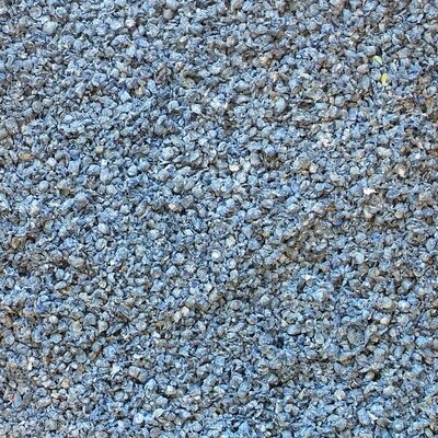 Living World Fresh 'N Comfy Bedding - 20 L (1220 cu in) - Blue