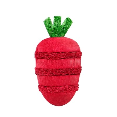 Living World Nibblers - Strawberry Loofah &amp; Wood Chew