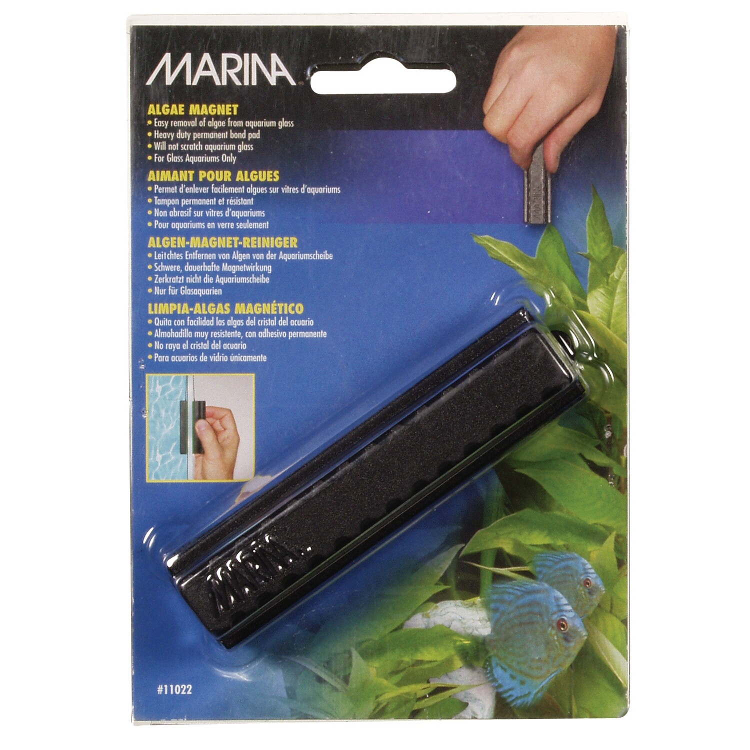 Marina - Algae Magnet Medium