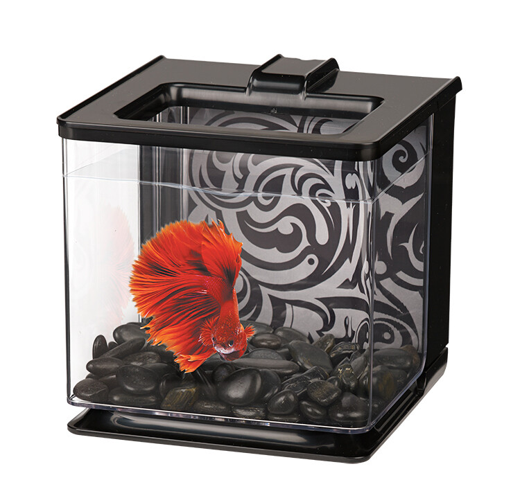 Marina 2.5L EZ-Care Betta Kit - Black