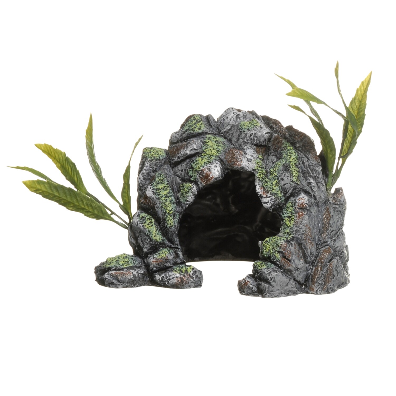 Marina - Decor Cave Medium