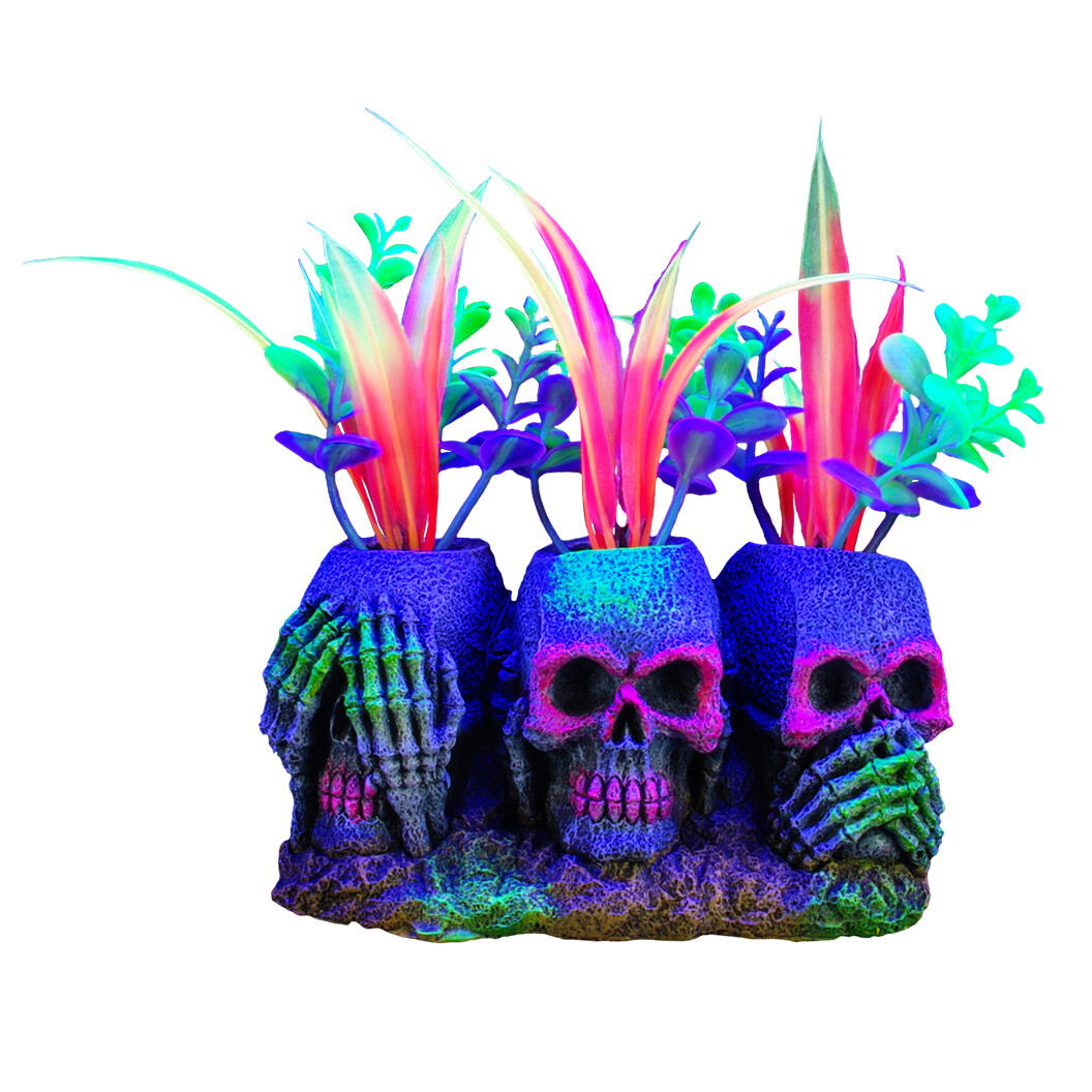 Marina - iGlo 3 Skulls with Plants, 3&quot;