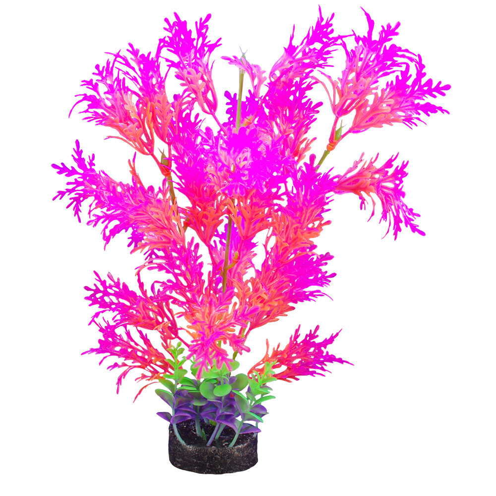 Marina - iGlo Plant 12.5&quot;