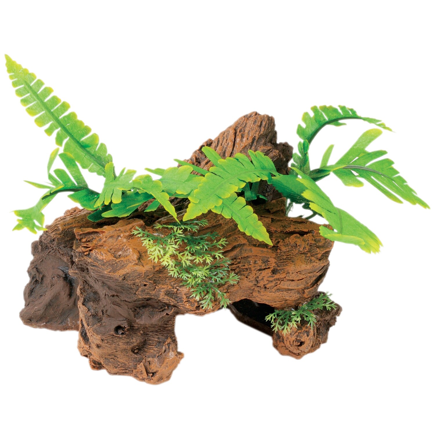 Marina - Naturals Driftwood with Small Plant