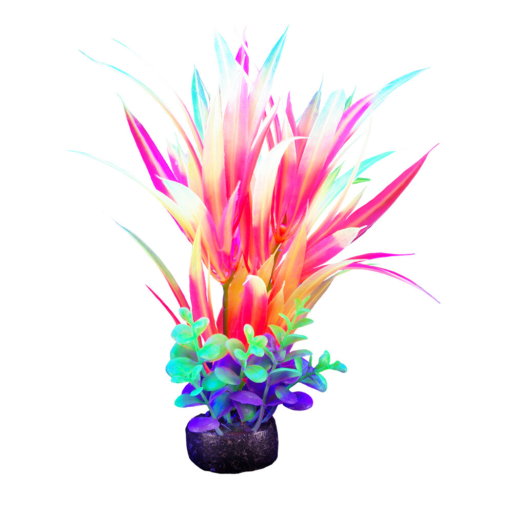Marina - iGlo Plant 5.5&quot; (4)